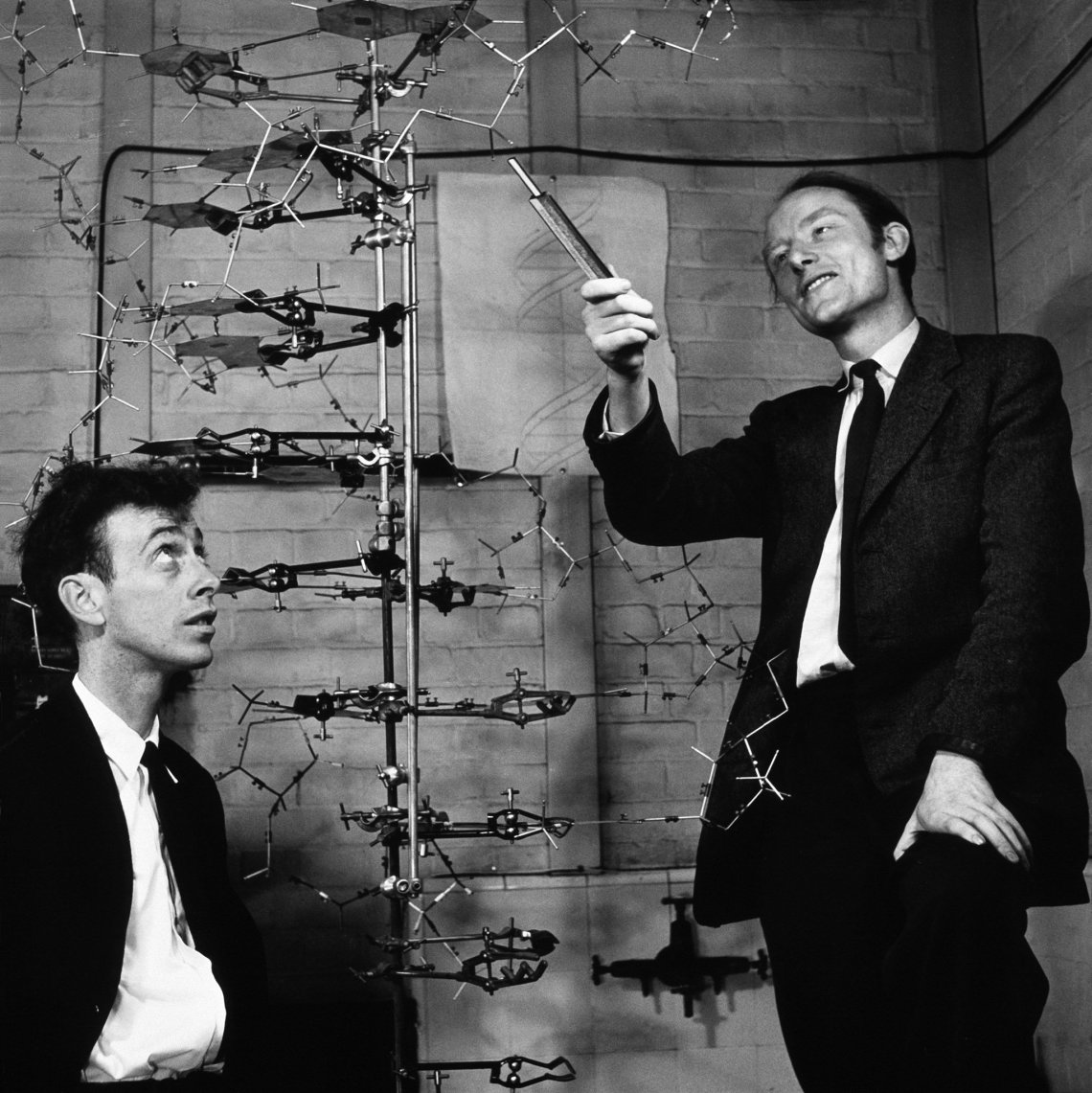watson-crick-dna-model