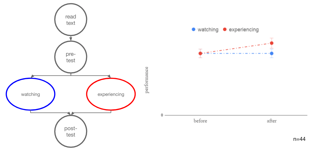 visceral physics (3)